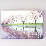 Les Mimosas - 11 Cazaubon