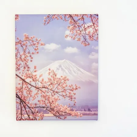 Les Mimosas - 11 * Cazaubon